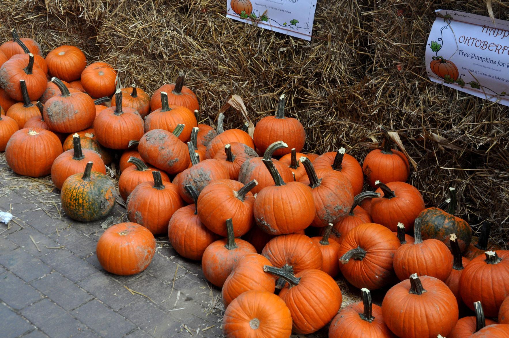 Pumpkin giveaway